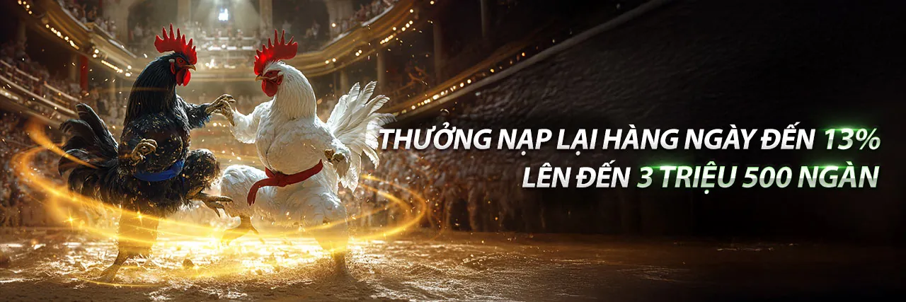 Đá Gà Trực Tiếp VP777