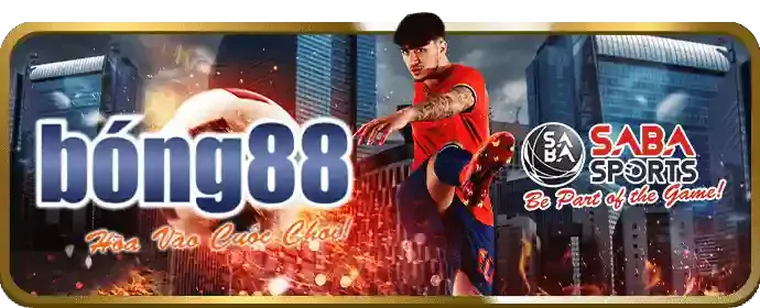 Cá cược an toàn và hỗ trợ